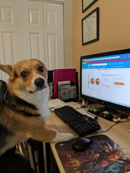 Pets are good for productivity